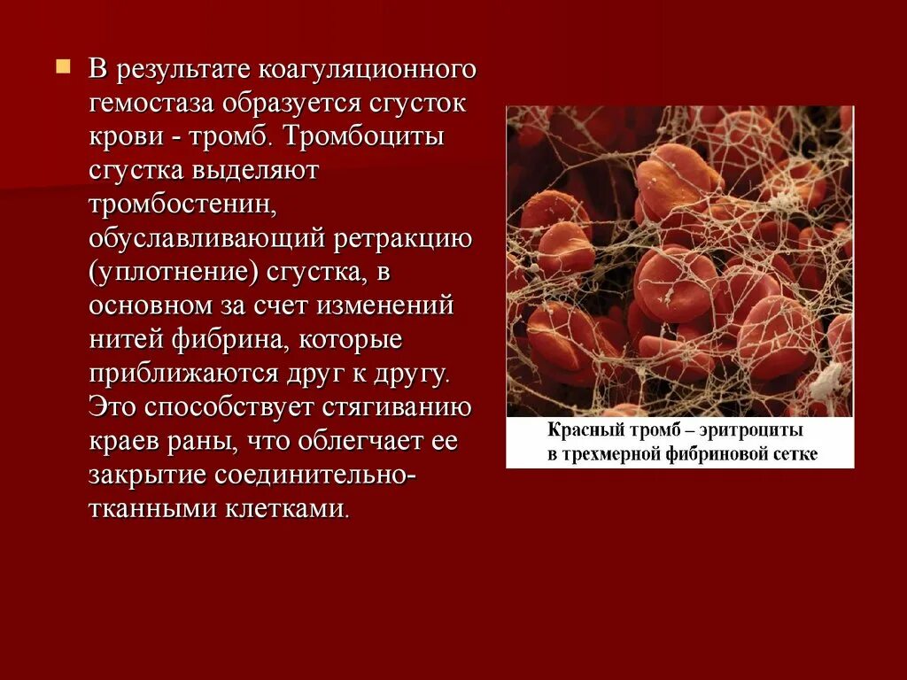 Тромбоциты. Тромбоциты образование тромба. Группы крови тромбоциты.