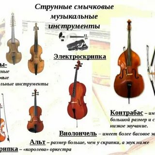 Общие названия струнных инструментов ImmunoCap.ru
