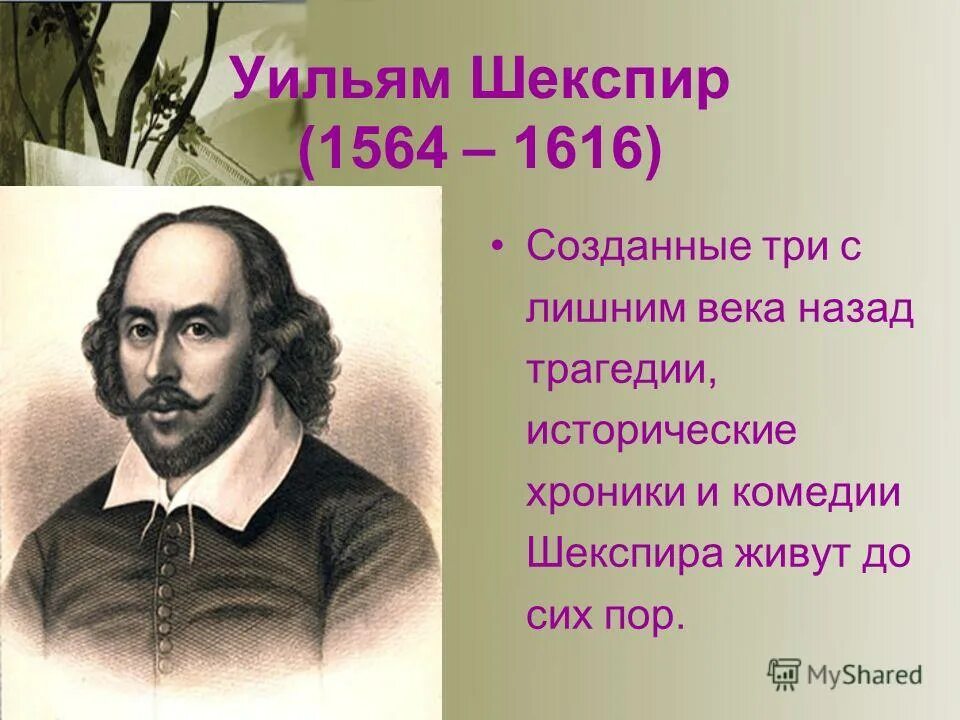 Мнения о шекспире