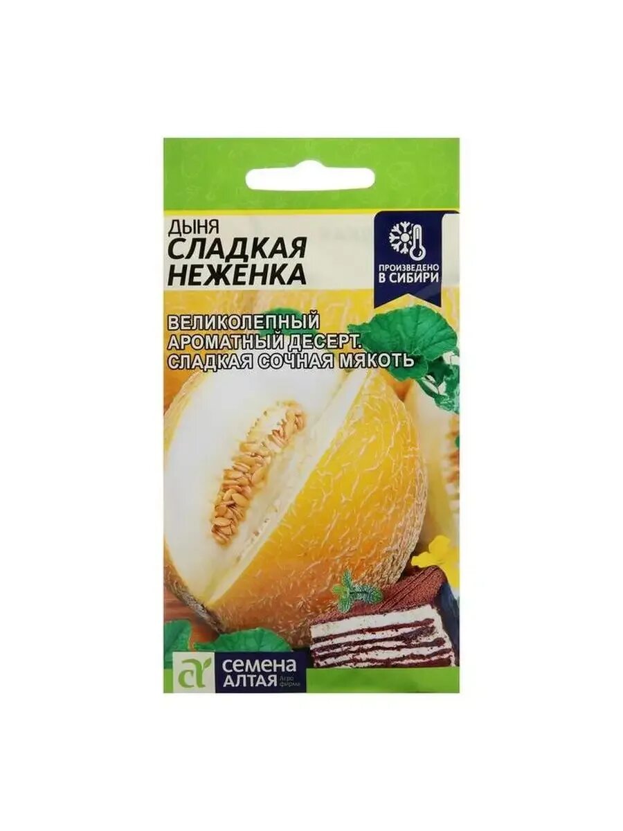 Самая сладкая дыня сорт. Семена дыня алтайская. гавриш дыня алтайская. дыня алтайская семена алтая. самая сладкая дыня.