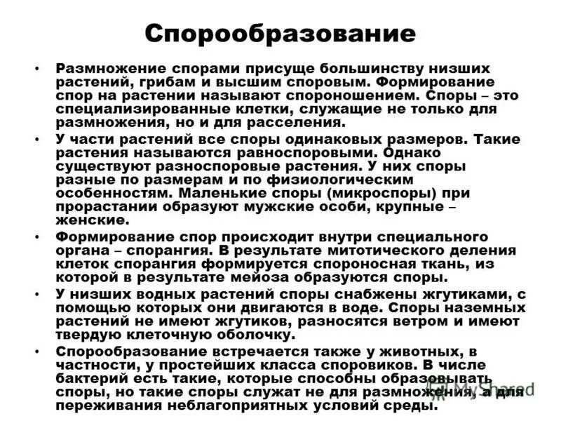 Размножение спорами у растений. С помощью спор размножаются. Технология размножения спорами.