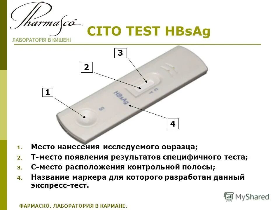 Как понять экспресс тест. Как понять экспресс тест