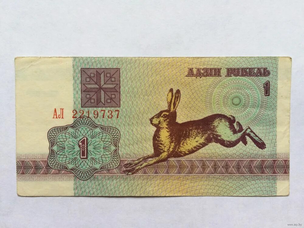 зайчики валюта в белоруссии. курс белорусского рубля к российскому. курс рубля к белорусскому рублю. белорусские белочки и зайчики. зайчик к рублю на сегодня.