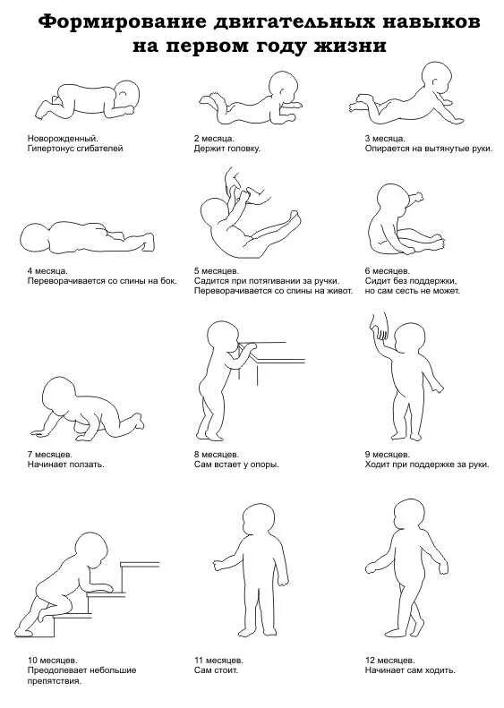 Схема развития ребенка по месяцам. Стадии развития ребенка до 1 года. Схема развития ребенка до года по месяцам. Что должен уметь ребёнок по месяцам от рождения до года таблица. Во сколько месяцев ползают девочки