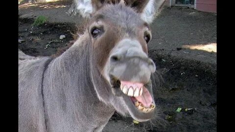 Chuqur tomoq qusish porno