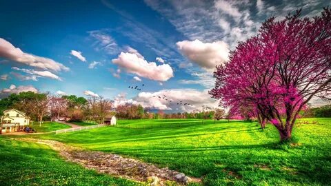 Seasons Wallpapers. download beautiful HD Wallpaper 1080p 2160p UHD 4K Flor...
