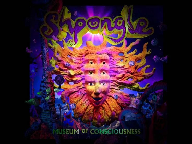 Raja ram shpongle. Shpongle концерт. Shpongle футболка. группа shpongle. шпонгл слушать.