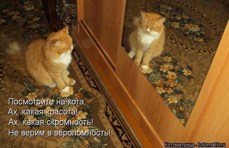 открытки красотища. какая красота. открытки красота неописуемая. открытка красота какая. ах какая красота и невозможно наглядеться.