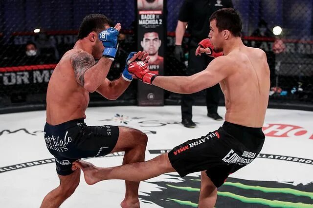 Bellator san diego