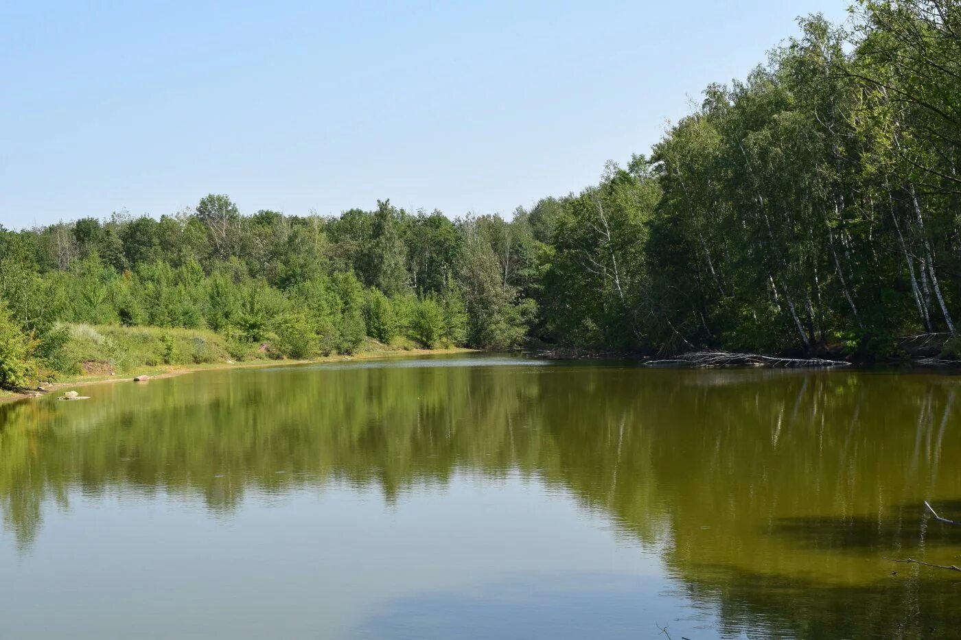 парк лебединое озеро липецк. силикатные озера липецкая область. алексеевская роща озеро. озера липецкого края. черное озеро вожегодский район.