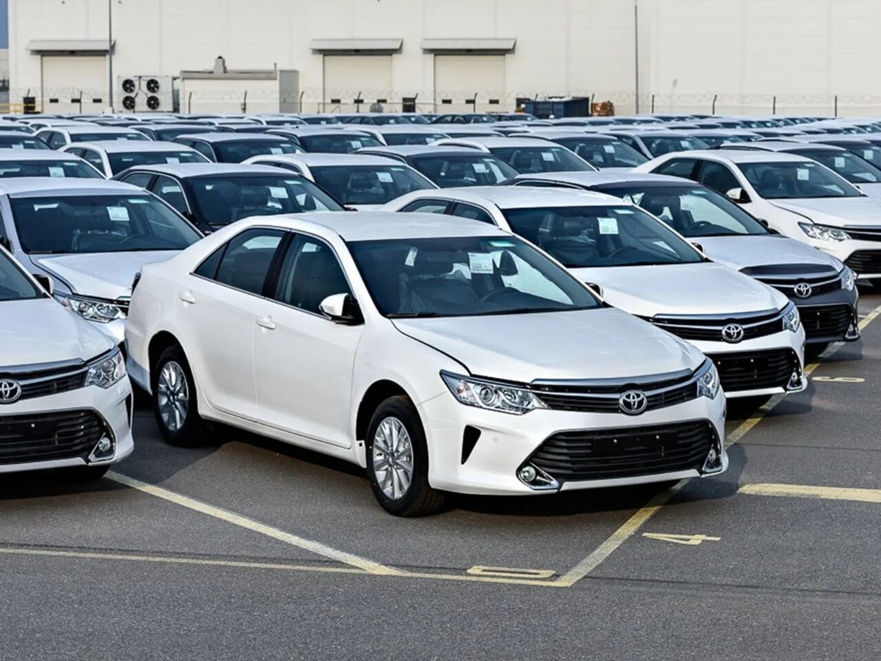 Тойота новая казахстан. Toyota Camry 2022. Парк автомобилей. Популярные автомобили. Много автомобилей.