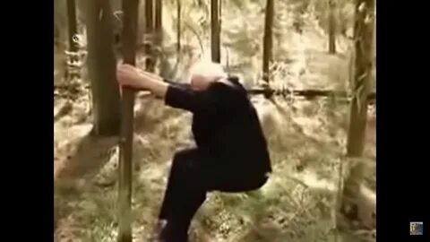Неумывакин приседания