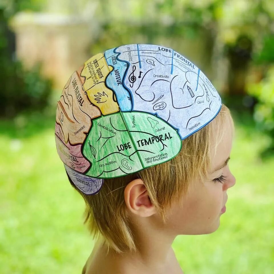 Секреты развития мозга ребенка. Детский мозг.