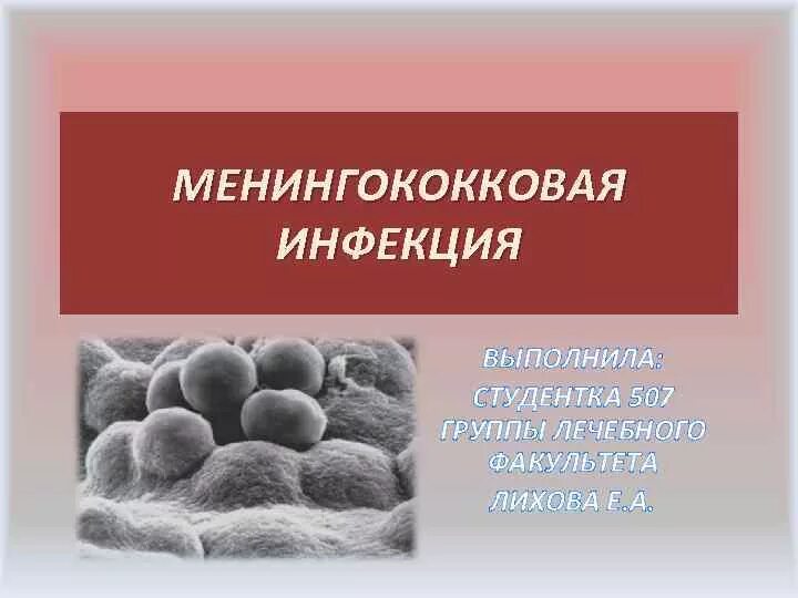 Менингококковые инфекции группы. Менингококковая инфекция патанатомия. Менигокковпя инфекции. Менингококковая инфекция макропрепарат.