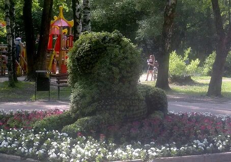 Лев березники