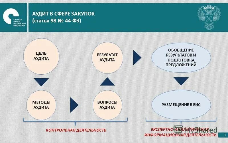 Система экономического аудита