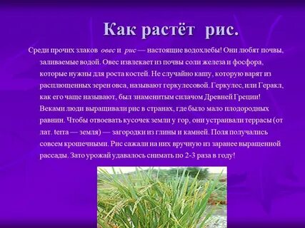 Рис 2 класс