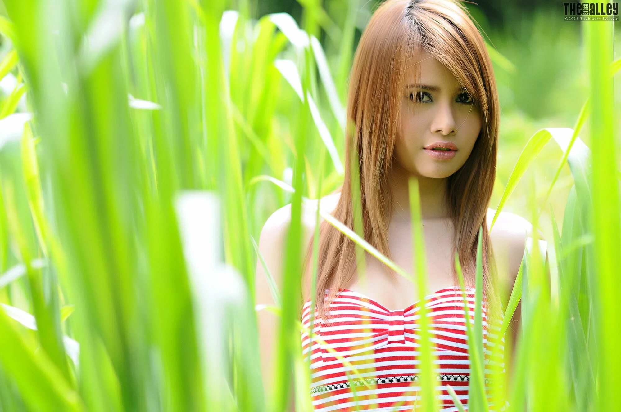 Katie cai