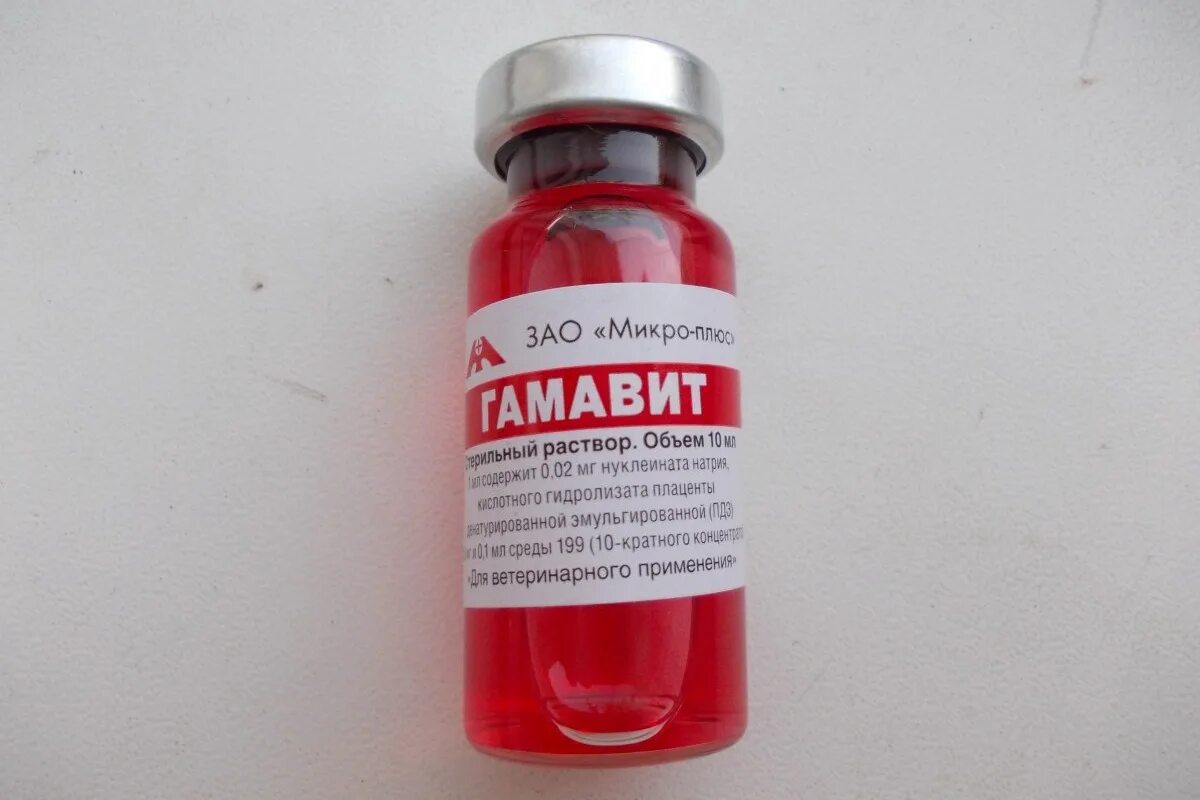 Гамавит для собак для чего. Гамавит (10 мл 5 шт). гамавит 10 мл для собак. гамавит 500 мл. гамавит раствор для инъекций 10 мл флаконы вет 5 шт гамаветфарм.