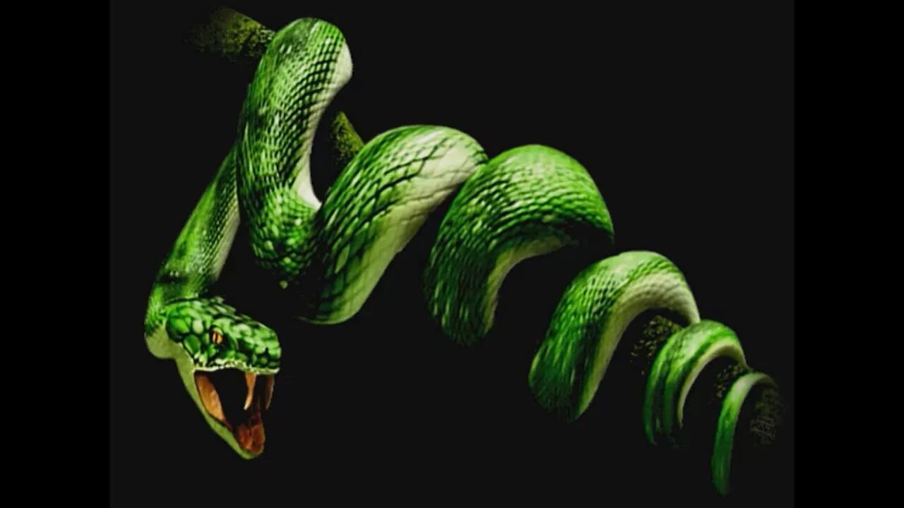 Snake x. Анимированная змея. Змея gif. Живые змеи. Змея Эстетика.