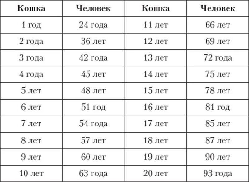 Сколько лет до 25 апреля. Кошке 6 лет сколько по человеческим меркам. Сколько лет кошке по человеческим меркам 5 лет. 1 Год кошке по человеческим меркам сколько лет. Сколько лет кошке по человеческим меркам таблица 1 год.