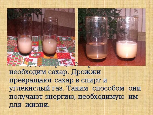 соотношение сахара и воды для сиропа пчелам. увеличивается ли объем жидкости при добавлении сахара. увеличение объема воды при добавлении сахара. объем сахара в воде. таблица концентрации сахарного сиропа.