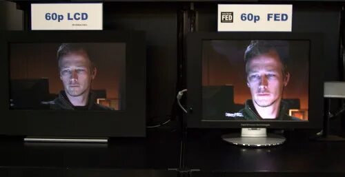 Feed display