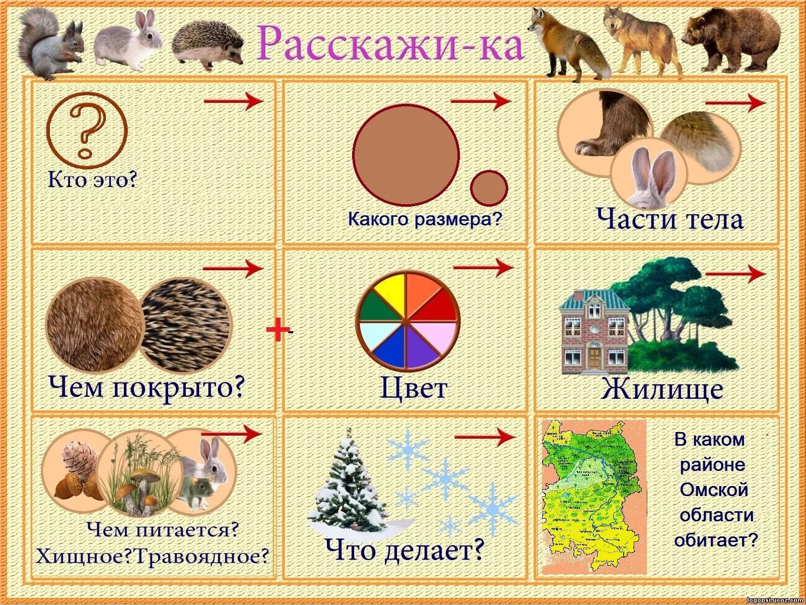 Схема для рассказа описания дикого животного. Схема описательного рассказа Дикие животные. Схема для составления описательного рассказа о диких животных. Схема описания предмета для дошкольников.