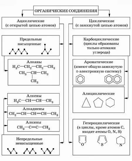 Участие в образовании биологически важных органических соединений. Модели молекул органических соединений. Состав и строение вещества. Все функциональные группы органических соединений. Теория химического строения органических веществ.