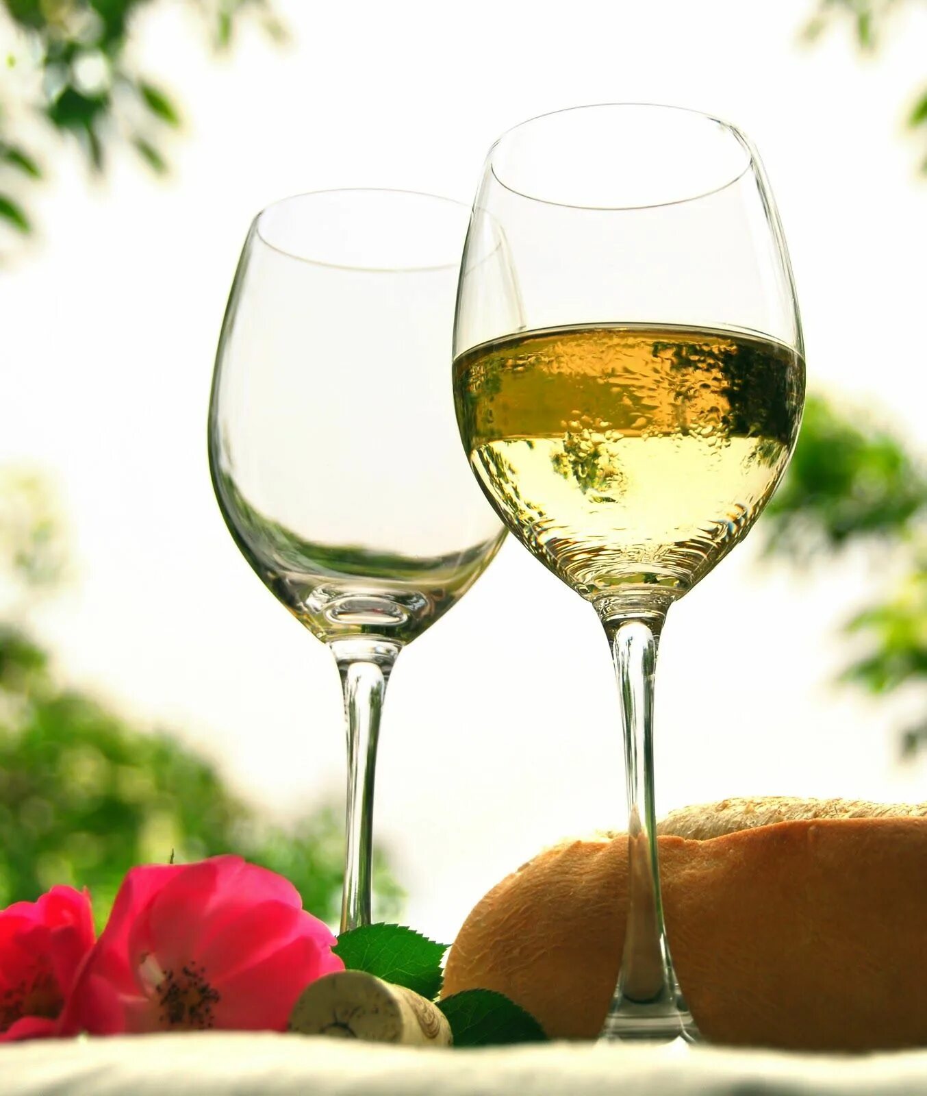 Napa valley вино. Белое вино в бокале. Долина напа вино. Гави кортезе. Белые вина.