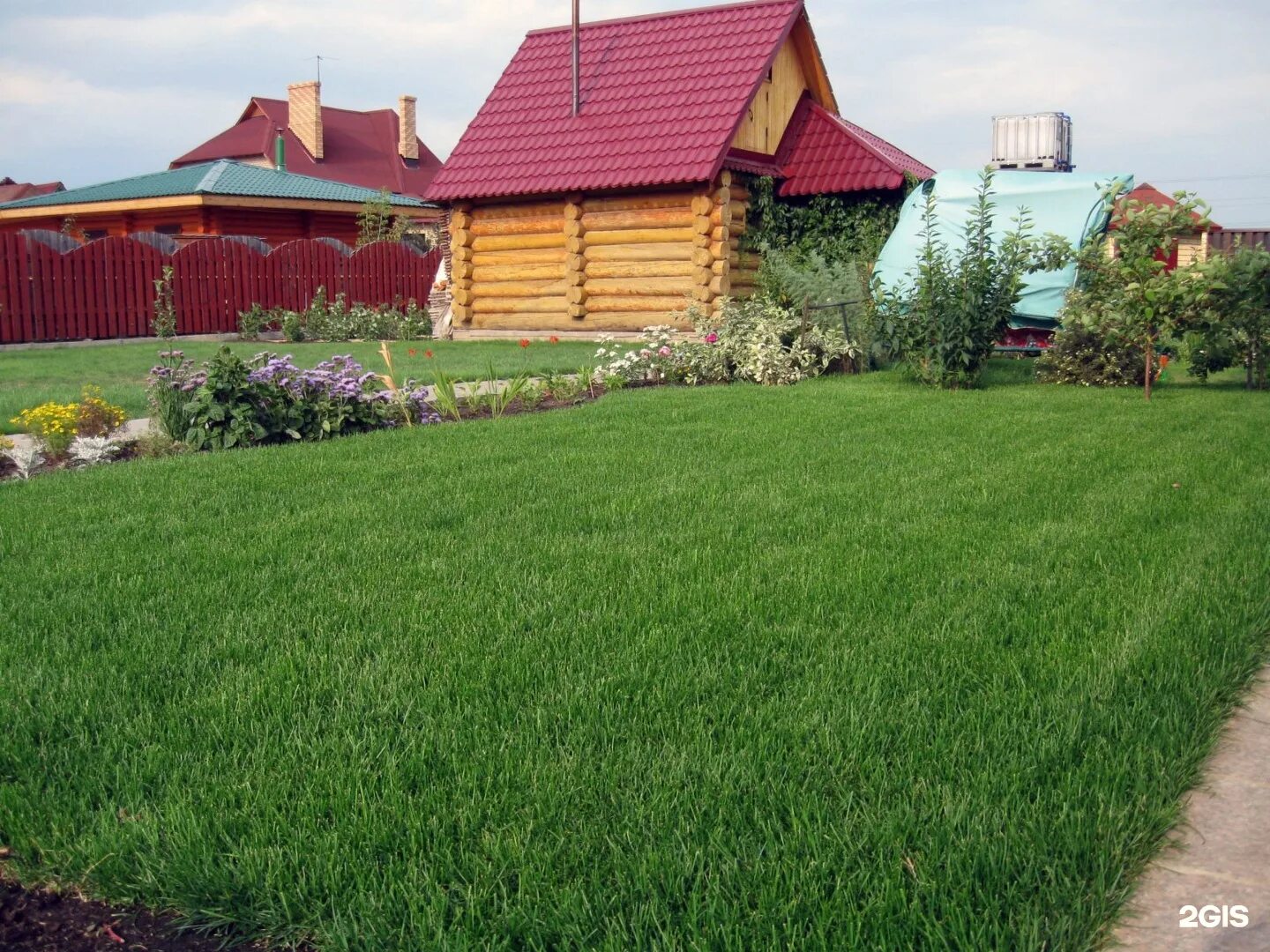 Травосмесь гном. Солнечный газон. Монофиламентная искусственная трава. Природа трава. Солнечный газон.