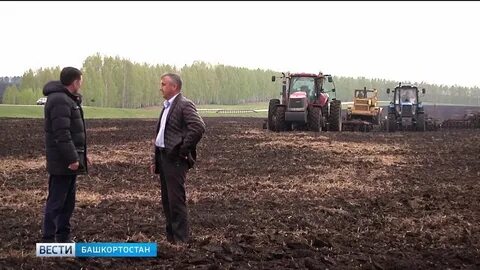 Сайт мсх башкортостана