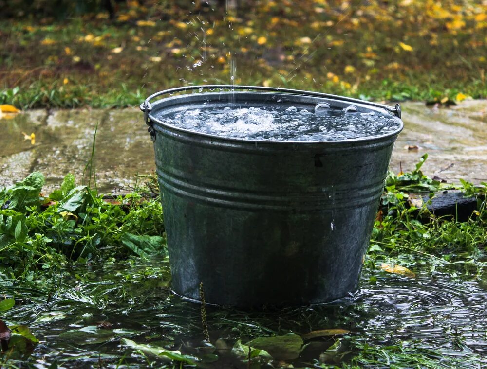 Ведро полностью заполнено водой. Ведро с водой. Bedro c vodoi. Ведро дождевой воды. Ведро полное воды.