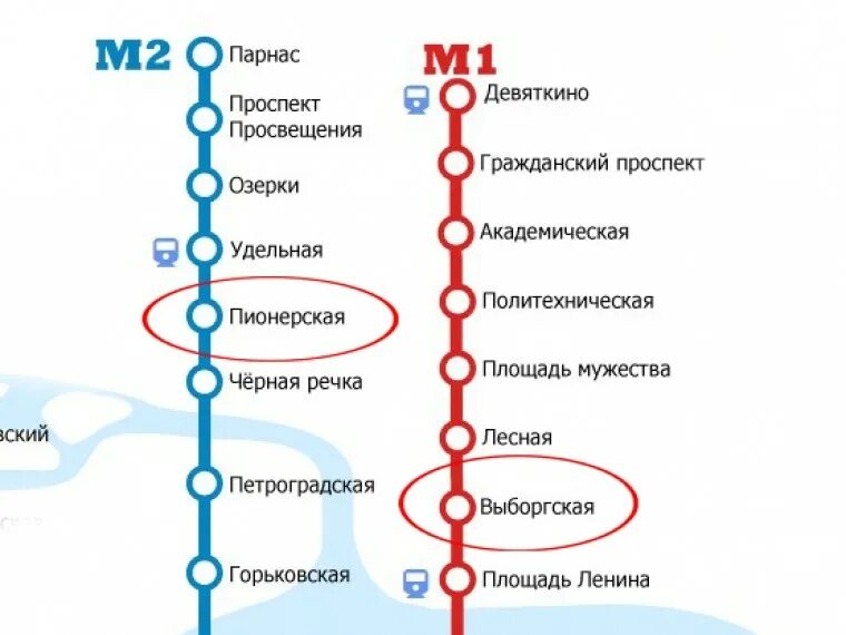 карта метро спб. метро пионерская питер. маршрутка от метро девяткино до м пионерская. девяткино санкт-петербург метро схема. карта метрополитена спб беговая.