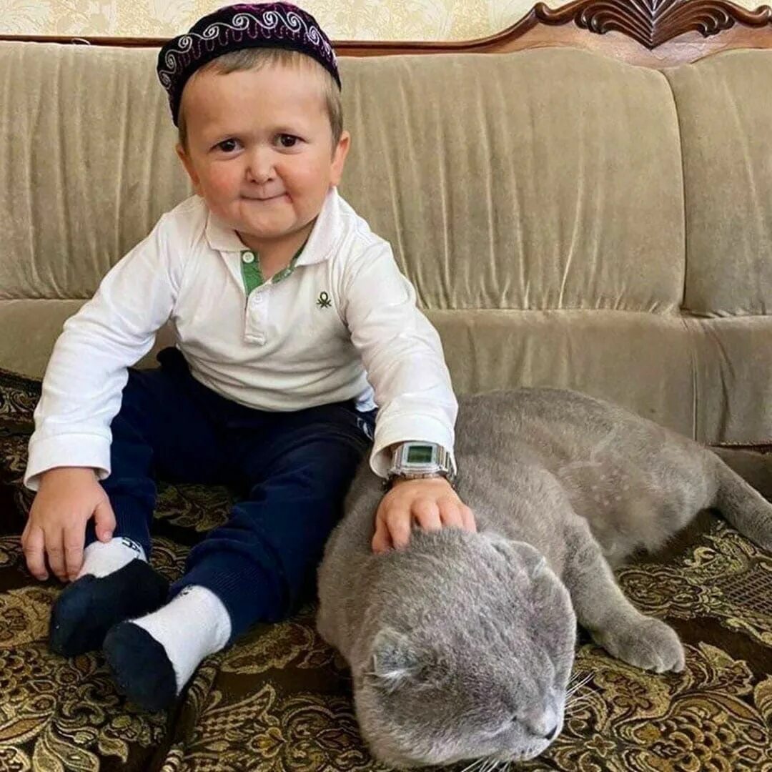 Хасбулат магомедов. Хасбула магомедов хасбик. Хазбек. Хазбек. Хасбулат магомедов.