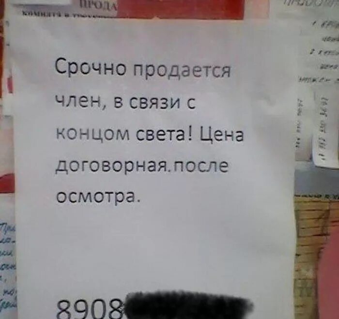 Концовки для стихов. Торопиться жить стихи. Анекдоты про конец света. Стихотворение конец света. Стихотворение конец света.