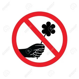 Don t pick