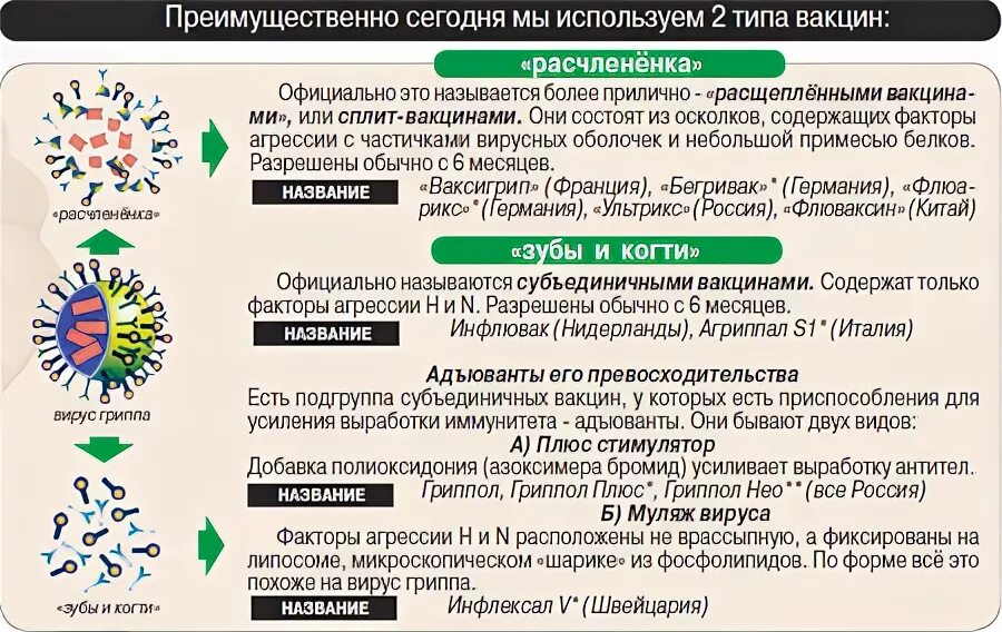 Механизм действия вакцины против гриппа. Рекомбинантные векторные вакцины. Механизм вакцинации от гриппа. Субъединичные вакцины против гриппа.