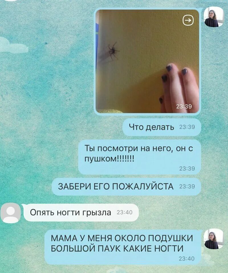 Смешные переписки с родителями и детьми. Смешные переписки с родителями. Смешные переписки детей. Смешные переписки с родителям. Мама переписывается