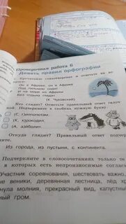 Прочитайте стихотворение и ответьте на вопросы