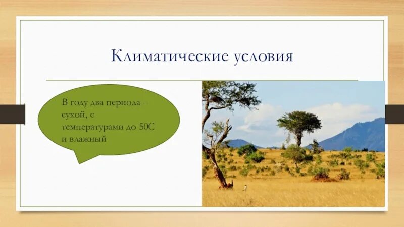 Сухие периоды. Жизнь в тропическом поясе. Тропический пояс презентация. Дома в тропическом поясе. Тропический сухой пояс.