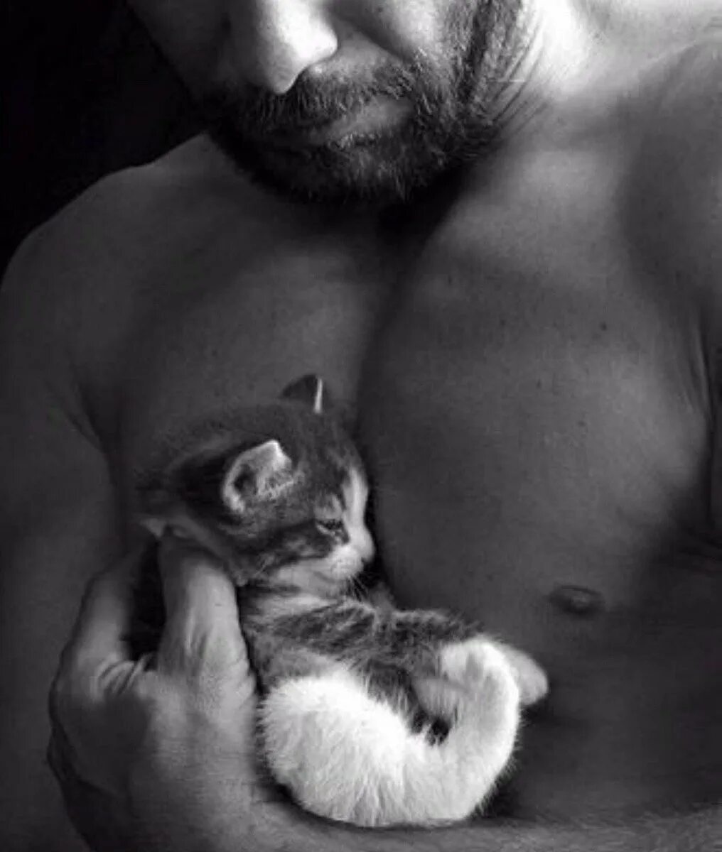 Чувак кот. Брутальный мужчина с котенком. мужчина с котенком. брутальные мужчины с котиками. парень с кошкой.