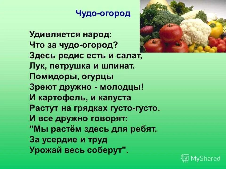 Есть и овощ в огороде. Стихи про огород. Стихотворение про огород. Наш огород стихи. Стихотворение про огород для детей.