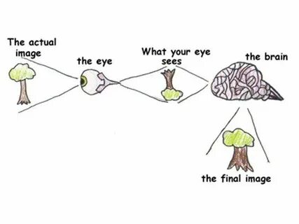 See eye to eye meaning