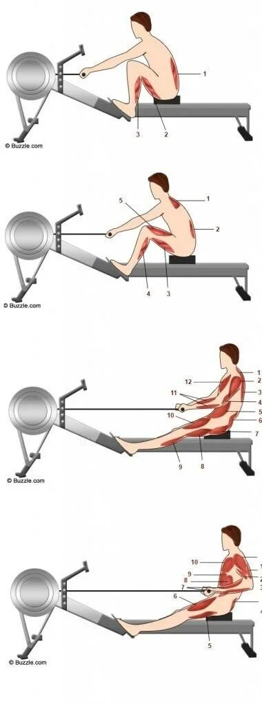 Тренажер гребля как правильно