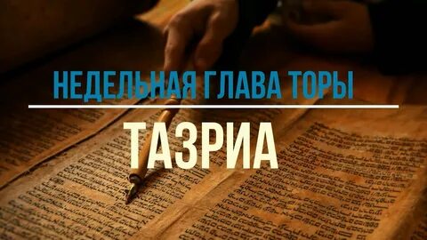 Недельная глава торы