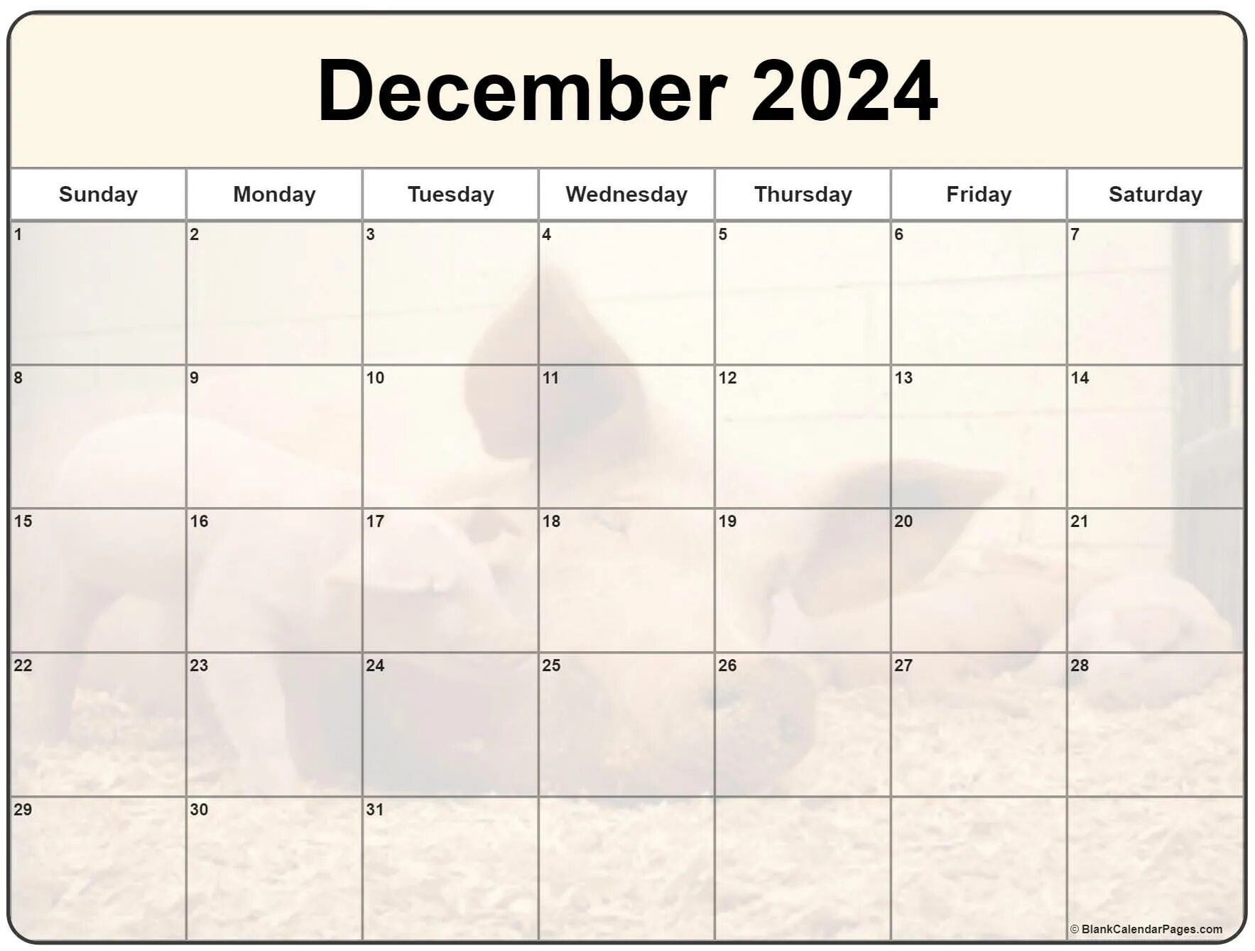 2025 template