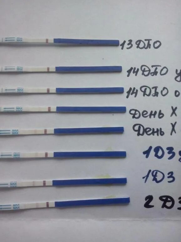 Болит живот месячные задержка 5 дней. Задержка тест отрицательный. задержка месячных тест отрицательный. задержка но тест отрицательный. задержка месячных 5 дней тест отрицательный.