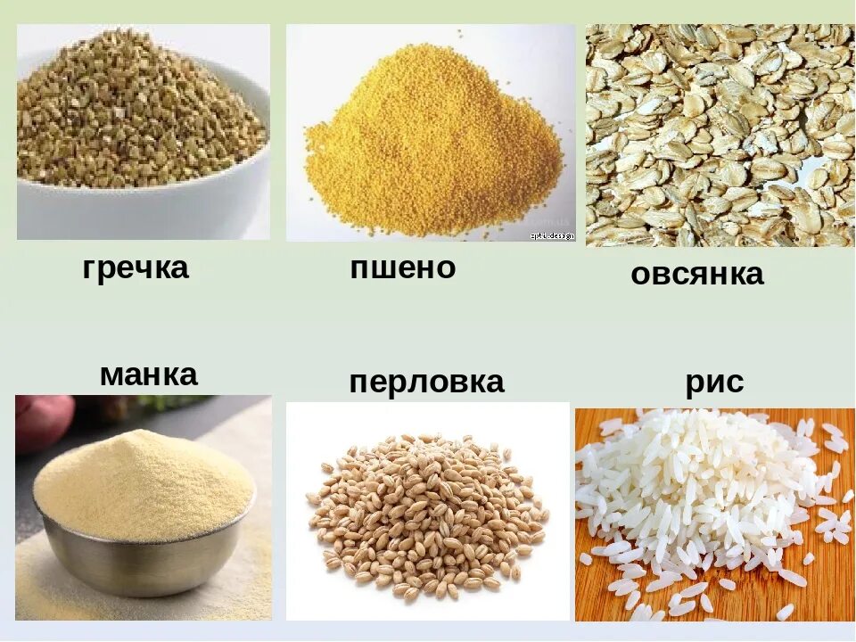 Гречка, пшено,рис, манка, Геркулес, перловка. Гречневая перловая рисовая крупа. Гречневая, перловая, пшенная крупы. Крупа типа пшенки. Гречка рис сахар