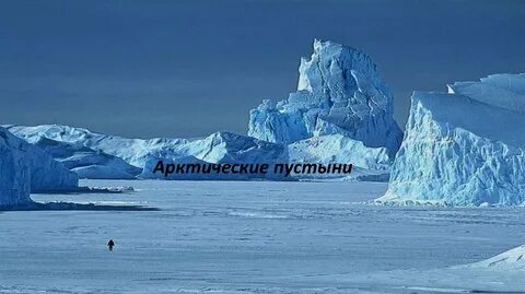 Северный ледовитый океан и арктические пустыни